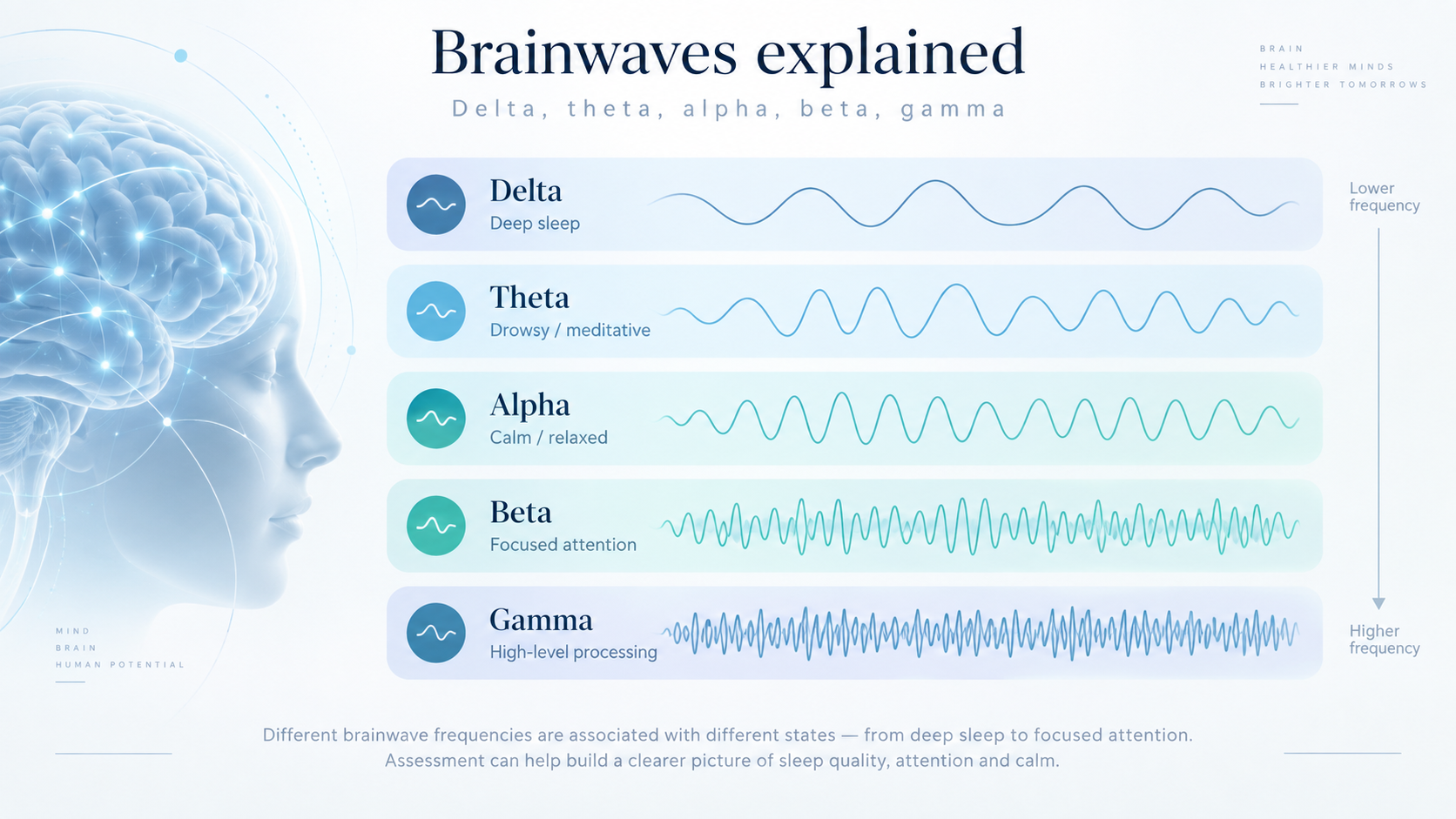 EEG / brain assessment